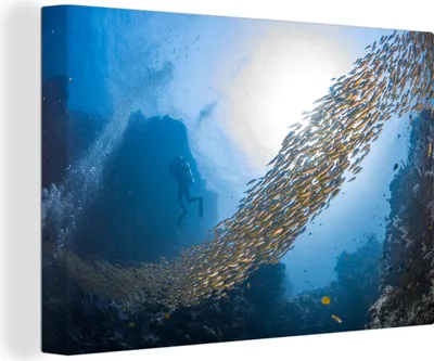 Produktbild von OneMillionCanvasses® - Leinwandbilder - 140x90 cm, Schwimmen - Tauchen - Fische, Wandbilder Kunstdruck Wanddekoration