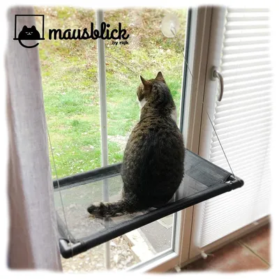Produktbild von Katzenhängematte Fensterliegeplatz Katzenbett - Bis 23 kg - Mit Saugnäpfen - Für große Katzen