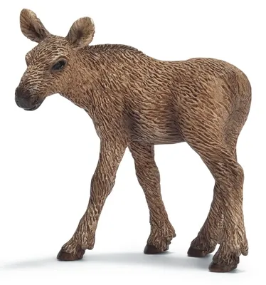 Produktbild von schleich Elch Kalb, 3 Jahr(e), Braun, Kunststoff