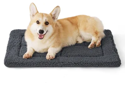 Productafbeelding van Wasbare hondenmat voor middelgrote honden, 74x46 cm, donkergrijs