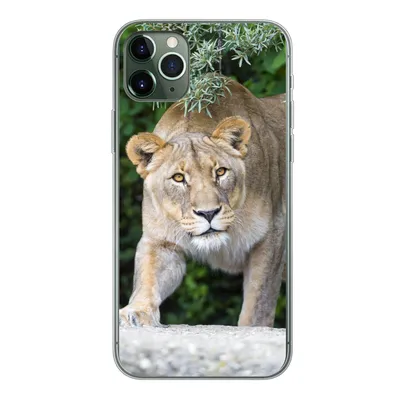 Produktbild von MuchoWow® Handyhülle Schutzhülle Hülle für iPhone 11 Pro Max Löwinnen - Wilde Tiere - Jagd Silikon Softcase Handy Hülle - Schutz