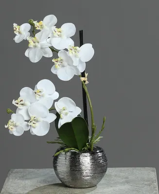 Produktbild von künstliche Orchidee, Phalaenopsis in rundem silbernen Topf H. 30cm weiß DPI