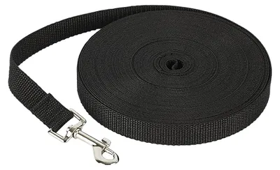 Produktbild von 10 m lange Hundetrainingsleine, extra lang, Welpenleine, robuste Outdoor-Hundele