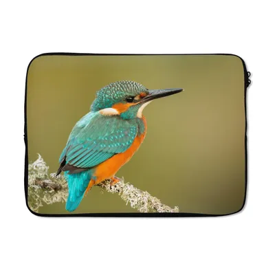 Produktbild von MuchoWow® Laptop Hülle 13 Zoll Eisvogel - Tiere - Vogel Laptoptasche - Laptophülle - Sleeve - Rundumschutz