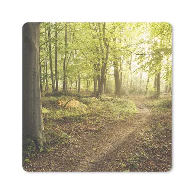 Produktbild von MuchoWow® Mauspad Mousepad Wald - Weg - Sonnenaufgang 30x30 cm - Mousepads - Maus Mat - Pad - Mausunterlage - Gaming