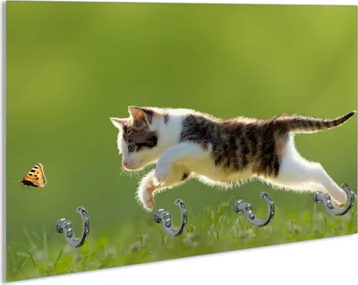 Produktbild von Wallario Schlüsselbrett aus Glas, Motiv: Süße Katze fängt Schmetterling im Grünen, 30 x 20 cm mit 4 Haken