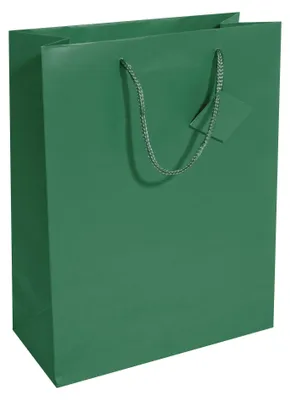 Produktbild von SIGEL GT500 Geschenktasche groß - opalgrün - matt - mit Bodeneinlage und Geschenkanhänger - Papier - 26 x 33 cm