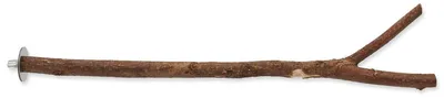 Immagine prodotto di Uccello Gioiello in legno naturale 40 cm