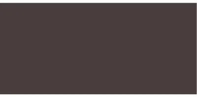 Image de Mighty Fine Brow Pen 0,5 ml Teinte : 5