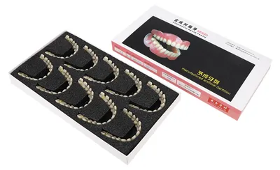 Produktbild von 10 Stück Harzprothese Dentalzähne Lehrmodell Versorgungszubehör