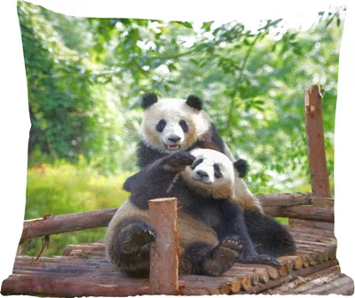Produktbild von MuchoWow® Zierkissen Sofakissen Wohnzimmer Dekokissen 45x45 cm Bären - Panda - Holz - Schlafpolster - Polster für das Sofa