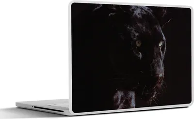Produktbild von MuchoWow® Laptop Aufkleber Sticker Cover Schwarzer Panther auf schwarzem Hintergrund 40x30 cm - Laptop Dekoration - Selbstklebend