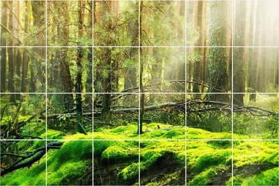 Produktbild von Fliesenaufkleber 10×10 cm – 24 Stück – Selbstklebend – Wasserfest – Pflegeleicht – Hitzebeständig – Für Küche & Bad – Grüner Wald mit Moos