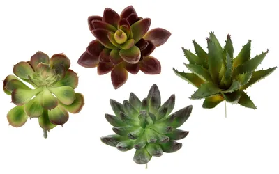 Zdjęcie produktu dla Flair Flower: Dekoracyjne sukulenty, sztuczne rośliny, sukulenty, aloes, agawa