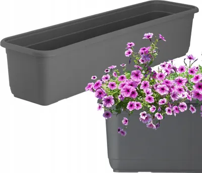 Produktbild von KADAX Blumenkasten "Evron", Balkonkasten aus Kunststoff, Blumentopf für Balkon, Fensterbank, Pflanzgefäß, 60 cm, Anthrazit