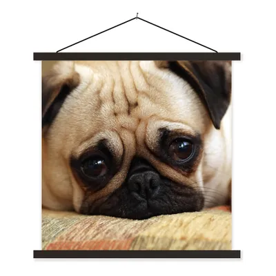 Produktbild von MuchoWow® Textilposter Eine Nahaufnahme eines traurigen Mops-Welpen 60x60 cm mit schwarzem Rahmen - Posteraufhänger