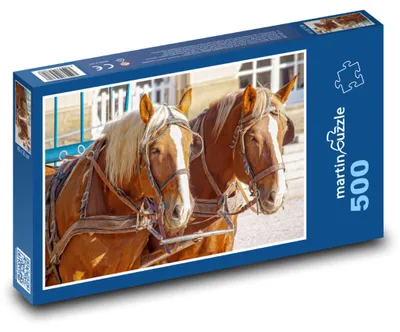 Obrázok produktu pre martinpuzzle - Puzzle 500 - Kôn