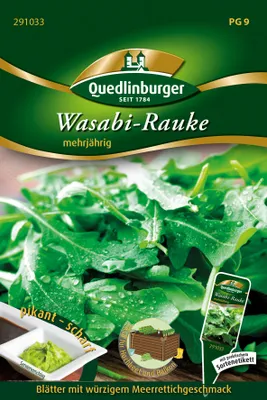 Artikelbild 1 von 'Wasabi-Rauke' aus der Kategorie Rucola- / Raukesamen