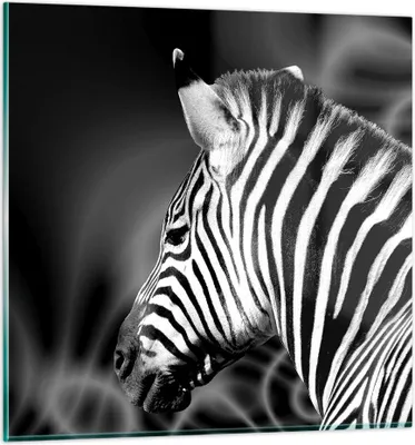 Produktbild von Bilder auf glas - Tier Zebra Streifen - 60x60cm - Glasbilder - Wandbilder - Kunstdruck - zum Aufhängen bereit - Wanddekoration aus Glas - Glas Bilder - Wandbild auf Glas - Einteilig - GAC60x60-0300