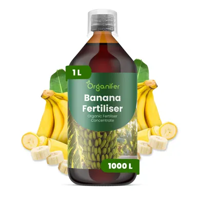 Obrázok produktu pre Tekuté hnojivo Banán, 1 L – vzorec NPK 2-1-8 – pre ovocné rastliny – pre silné banány a zdravé listy – podporuje rast koreňov a vitalitu – organické