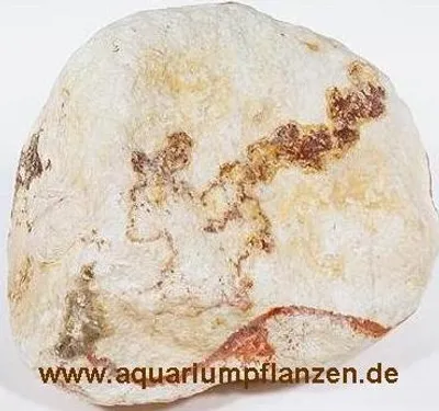 Produktbild von ca. 5 kg Regenbogenkiesel, Dekosteine, Aquarium