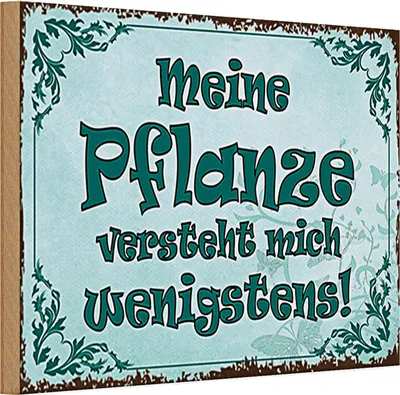 Produktbild von Holzschild Spruch 30x20cm meine Pflanze vesteht mich