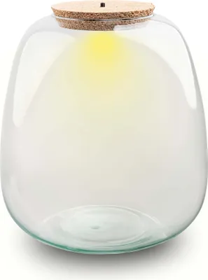 Produktbild von Terrariumflasche mit Korken – Modell: Emma mit LED-Korken – ↑ 25 cm – Ø 23 cm