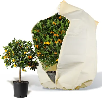 Image de 100g/m² 350×360cm Protection hivernale Protection hivernale Plantes Non-tissé de jardin Non-tissé d'hiver Protect Protection contre le froid Protection contre le gel