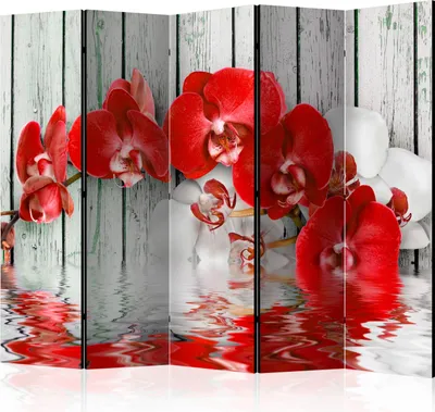 Produktbild von Akusticher Raumteiler Orchidee Foto Paravent 225x172 cm beidseitig auf Vlies-Leinwand bedruckt Akustikschaum Trennwand Spanische Wand Sichtschutz Home Office Blumen Natur Botanik b-A-0344-z-c