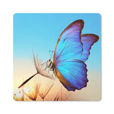 Produktbild von MuchoWow® Mauspad Mousepad Schmetterling - Löwenzahn - Blau 20x20 cm - Mousepads - Maus Mat - Pad - Mausunterlage - Desk Mat - Bureauartikeln