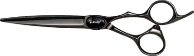Produktbild von e-kwip+ HS 5.5 Primus Black Titanium Haarschneideschere