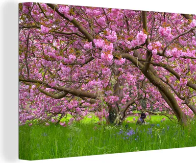 Produktbild von MuchoWow® - Leinwandbilder - Kirschbaum - Blüte - Rosa, Wandbild, Wanddeko Bilder Wohnzimmer, 120x80 cm