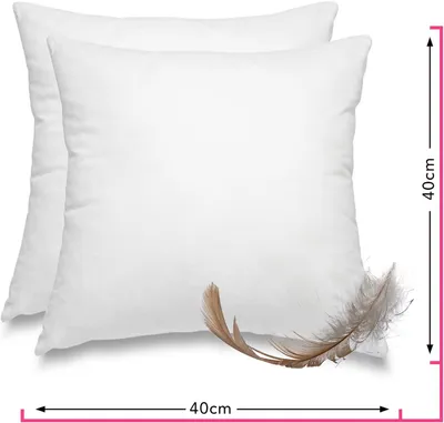 Produktbild von Premium-line  2er Set Feder- & Daunenkissen Sofakissen - 85% Federn 15% Daunen 40x40 mit 300 g Füllung Bezug Baumwolle weiß