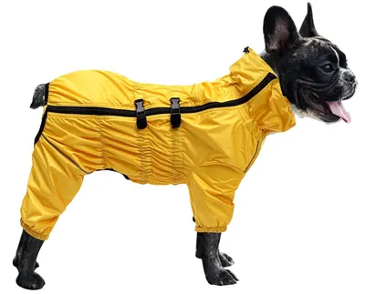 Immagine prodotto di Giacca impermeabile per cani, con protezione per le zampe - Giallo - Taglia M