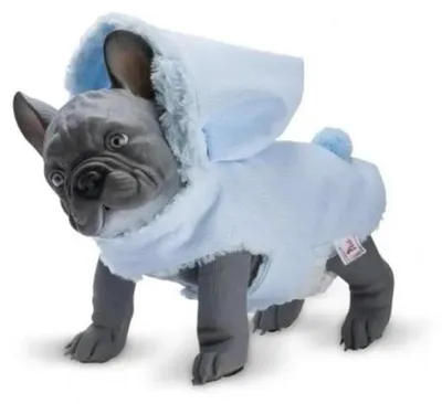 Image de Nono, petit bouledogue français de 32 cm - Asi