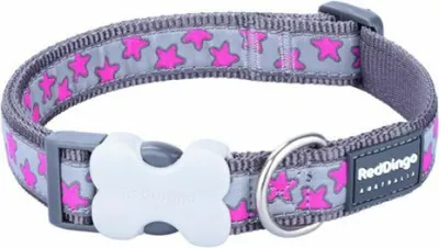 Image de Collier pour Perro Rouge Dingo On Cool 20-32 cm Rose