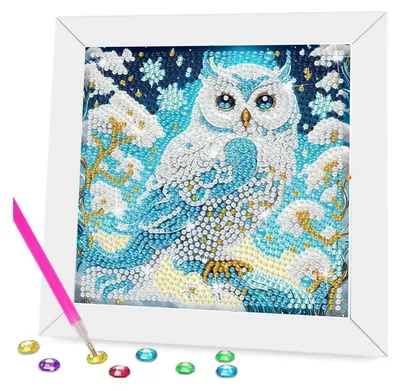 Obrázok produktu pre Sada na maľovanie diamantmi "Sova s rámom", 5D, 18x18 cm