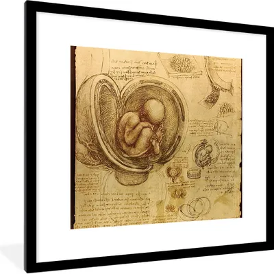 Produktbild von MuchoWow® Gerahmtes Poster Baby im Mutterleib - Leonardo da Vinci 40x40 cm - Poster mit Schwarzem Bilderrahmen Wandposter Rahmen Foto Bilder - Poster - Plakat im Rahmen