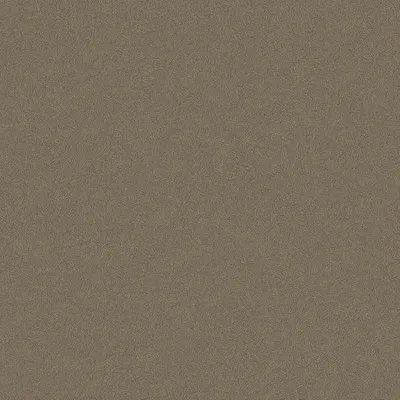 Zdjęcie produktu dla Borastapeter Tapeta zwykły brązowym - 660324 - 53 cm x 10.05 m