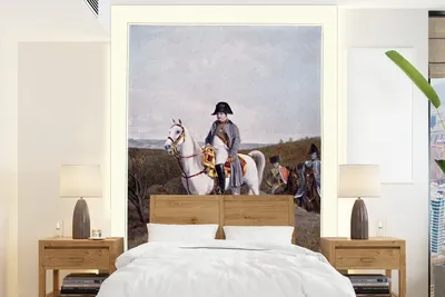 Produktbild von Fotobehang Illustration von Napoleon auf einem weißen Pferd unter einem grauen Himmel - Breite 160 cm x Höhe 220 cm