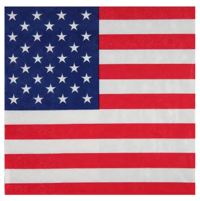 Immagine prodotto di 20 tovaglioli USA in carta 33 x 33 cm - taglia unica