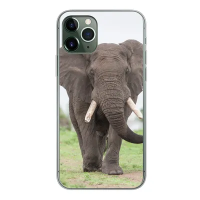 Produktbild von MuchoWow® Handyhülle Schutzhülle Hülle für iPhone 11 Pro Elefant - Tiere - Gras - Natur Silikon Softcase Handy Hülle - Handy