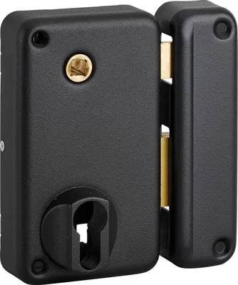 Image de Boitier de serrure verticale en applique double entrée à fouillot pour entrée, droite, axe 45mm, 75x130mm, noir - THIRARD