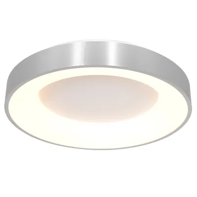 Immagine prodotto di Steinhauer - plafoniera - Ringlede - argento - plastica metallo - Ø 48cm - LED - 2563ZI