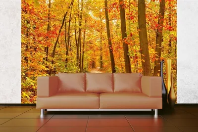 Produktbild von Vlies Fototapete PFAD IM HERBSTWALD 375 x 250 cm (inkl. Kleister) - Vlies Tapete, Wandtapete, Wandbilder - Tapete für Wohnzimmer Schlafzimmer, Büro, Küche - Montagefertig