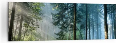 Produktbild von Bild auf Leinwand - Leinwandbild - Einteilig - Wald Dämmerung die Sonne - 160x50cm - Wand Bild - Wanddeko - Wandbilder - Leinwanddruck - Bilder - Wanddekoration - Leinwand bilder - AB160x50-4398