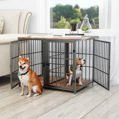 Two dogs are in and around a dog crate that doubles as a side table, with a window and furniture in the background.