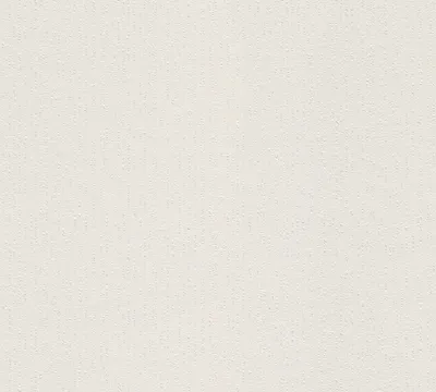 Obrázek produktu pro A.S. Création netkaná tapeta Meistervlies Pro Protect 2, bílá, malovatelná, 10,05 m x 0,53 m, 563019, 5630-19