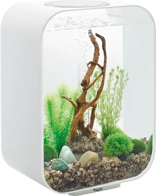Image de Aquarium 15l led contours blanc - Oase - LIFE 15 LED WHITE - biorb life