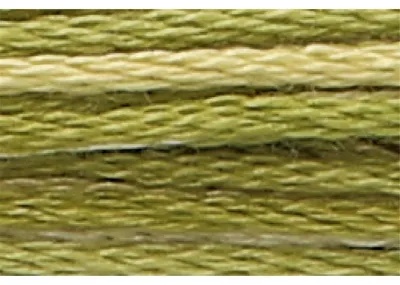 Imagen del producto de Anchor Bordado twist 8m, ombre de oliva, algodón, color 1216, 6-hilo